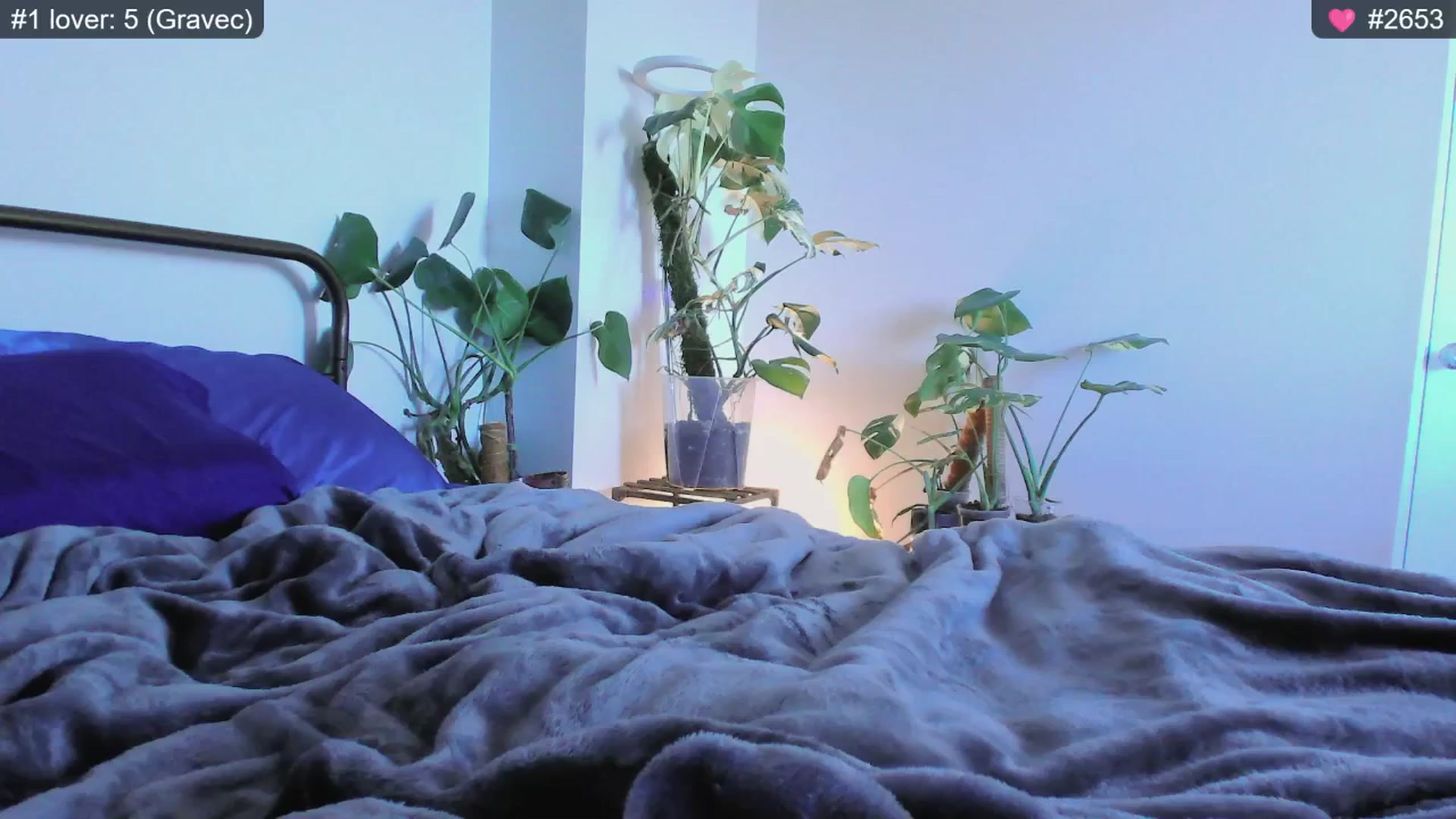 Gallery image thumbnail from whofkncares's myfreecams stream on, 12/03/2024, 22:49 image 6 of 20