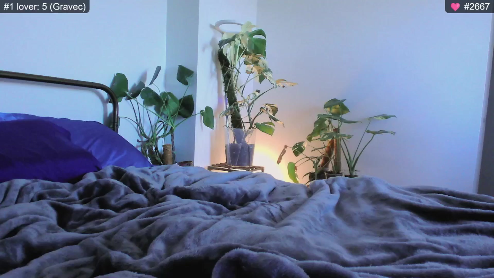 Gallery image thumbnail from whofkncares's myfreecams stream on, 12/03/2024, 22:49 image 17 of 20