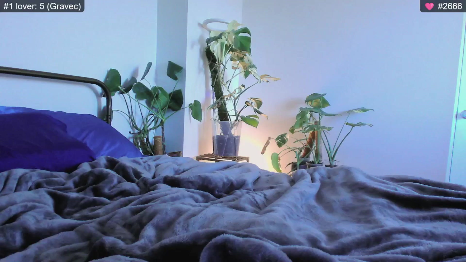 Gallery image thumbnail from whofkncares's myfreecams stream on, 12/03/2024, 22:49 image 16 of 20