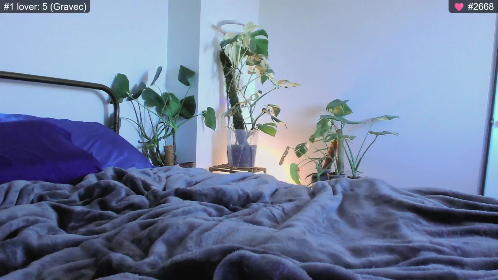 Gallery image thumbnail from whofkncares's myfreecams stream on, 12/03/2024, 22:49 image 18 of 20