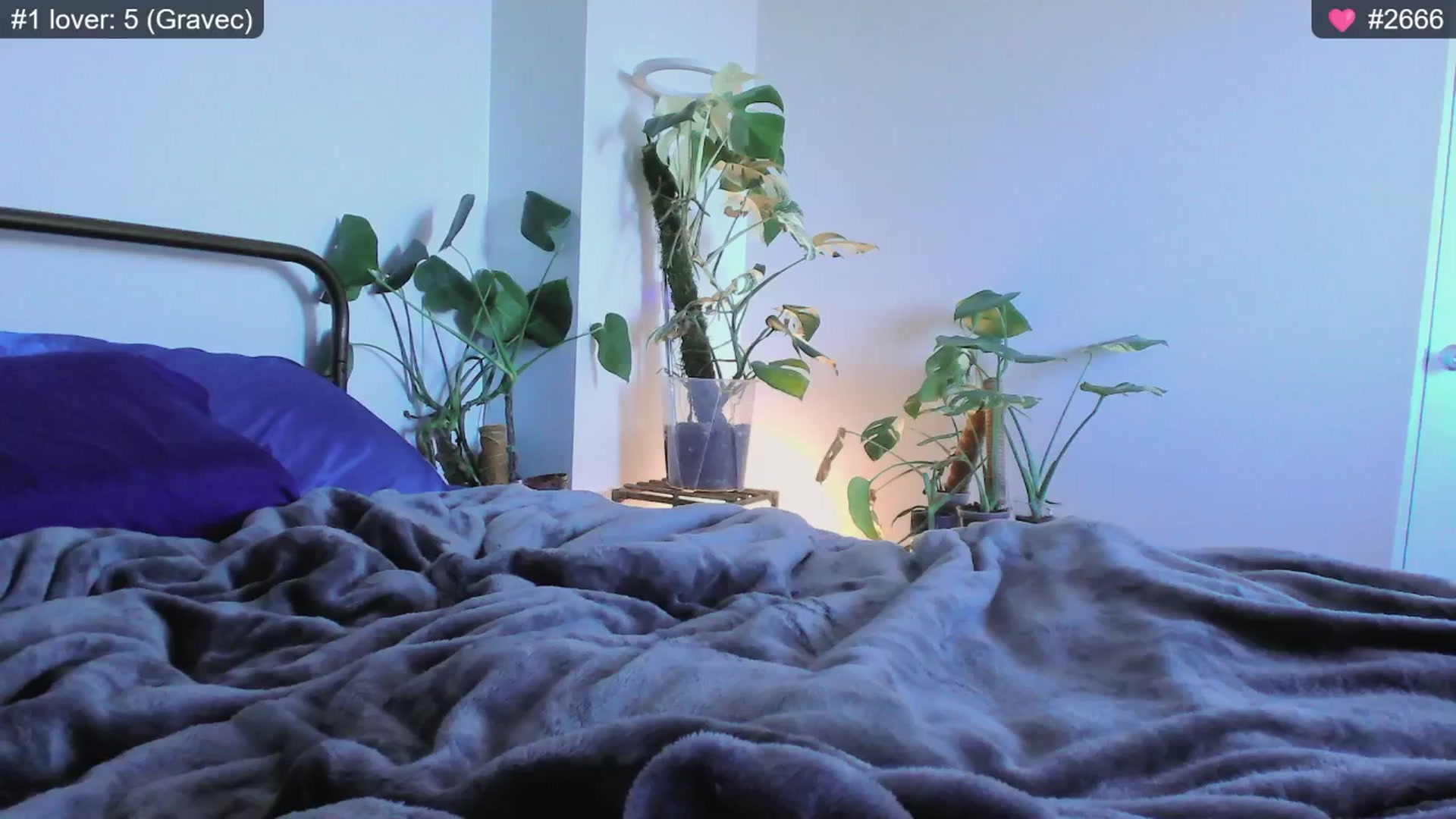 Gallery image thumbnail from whofkncares's myfreecams stream on, 12/03/2024, 22:49 image 15 of 20