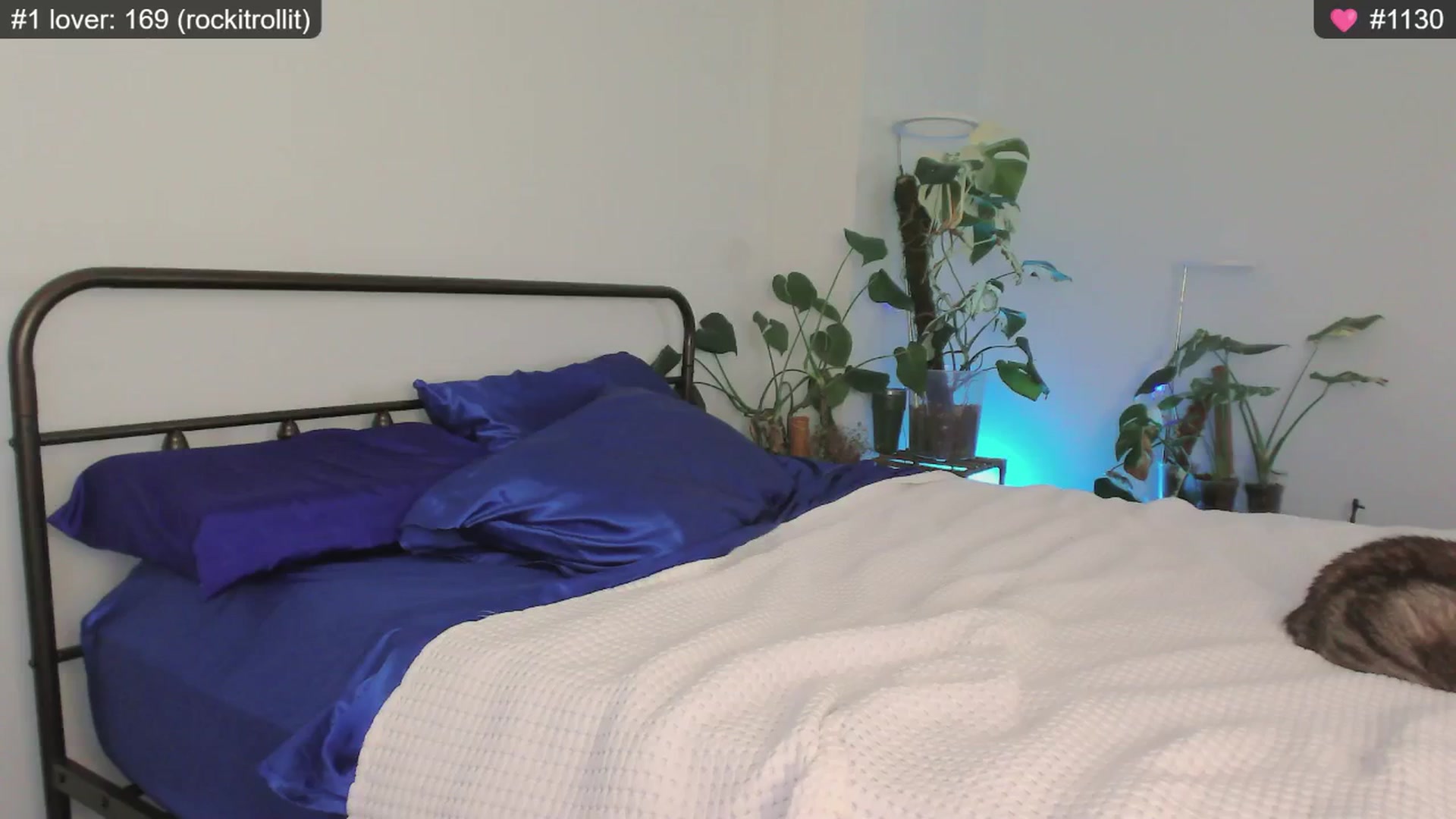 Gallery image thumbnail from whofkncares's myfreecams stream on, 12/10/2024, 23:10 image 19 of 20