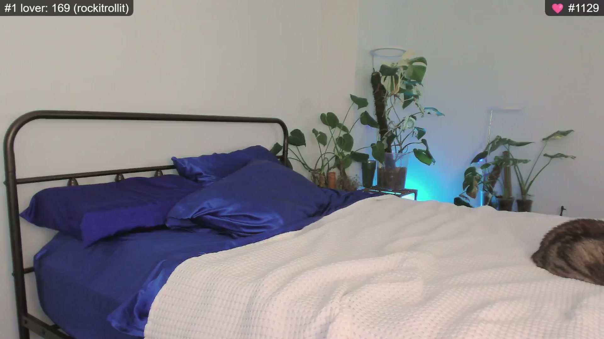 Gallery image thumbnail from whofkncares's myfreecams stream on, 12/10/2024, 23:10 image 17 of 20