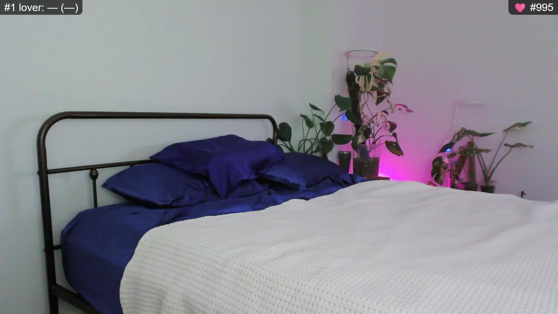 Gallery image thumbnail from whofkncares's myfreecams stream on, 12/11/2024, 21:57 image 20 of 20