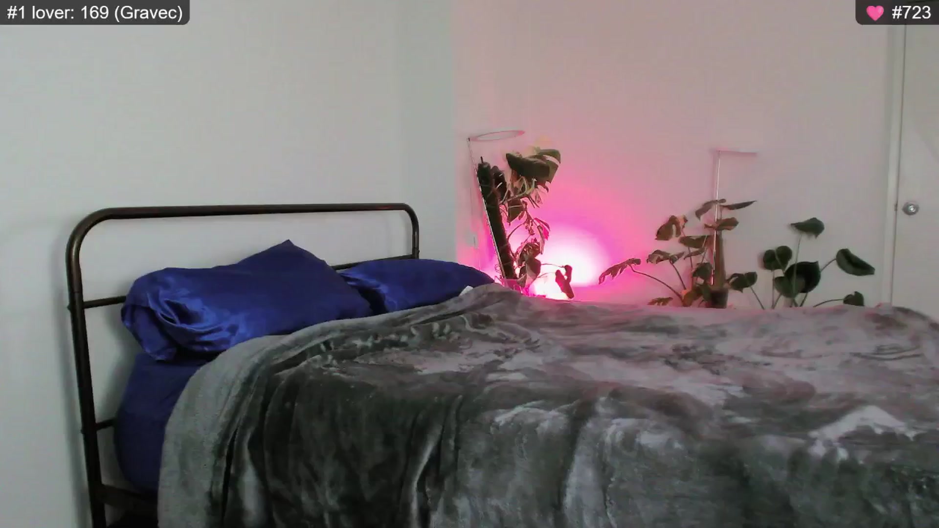 Gallery image thumbnail from whofkncares's myfreecams stream on, 12/17/2024, 23:00 image 18 of 20