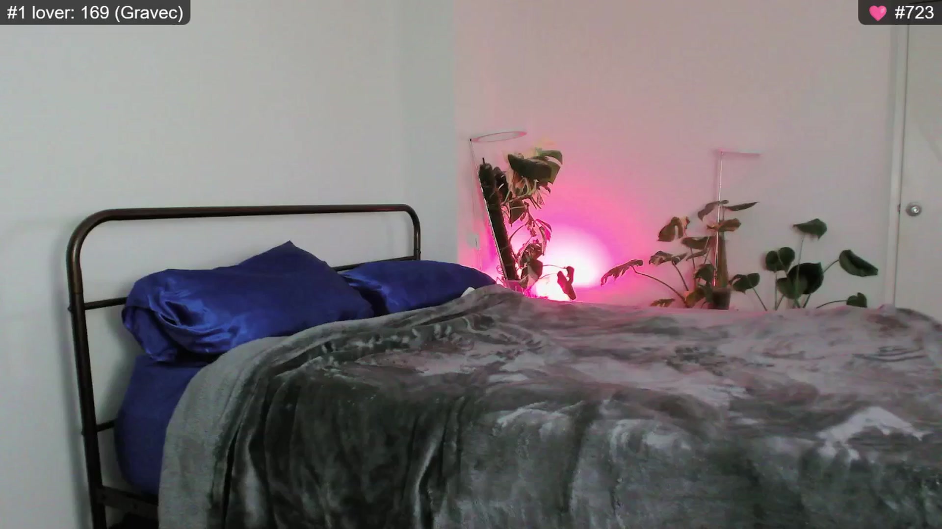 Gallery image thumbnail from whofkncares's myfreecams stream on, 12/17/2024, 23:00 image 19 of 20