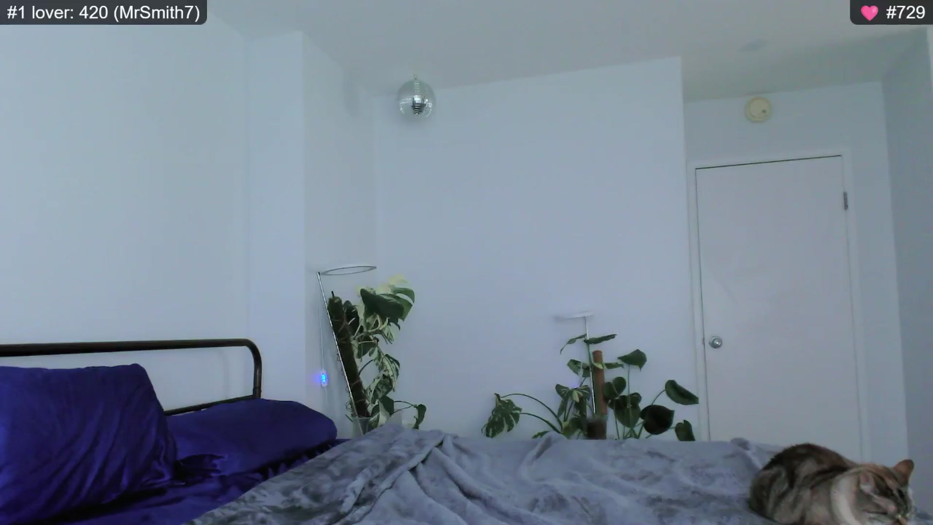 Gallery image thumbnail from whofkncares's myfreecams stream on, 12/20/2024, 01:29 image 10 of 20