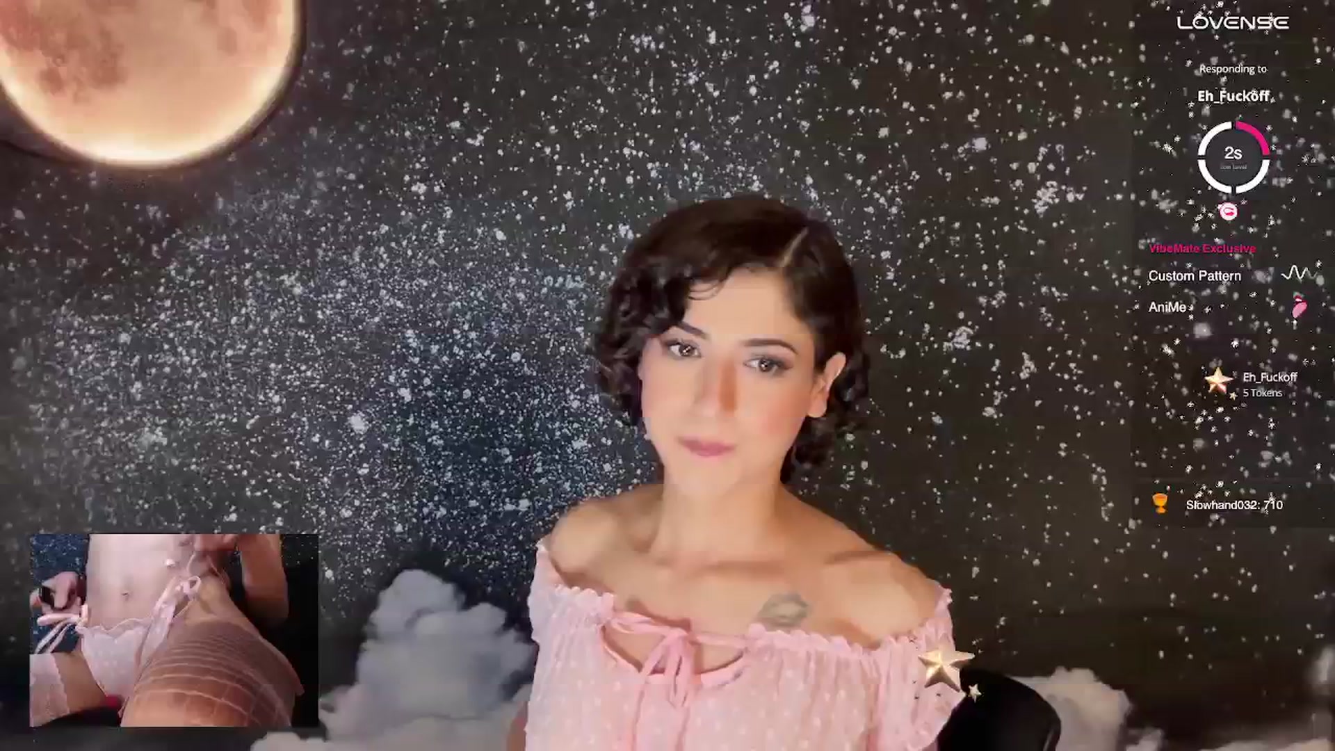 Gallery image thumbnail from wildmoon's myfreecams stream on, 02/01/2025, 07:53 image 14 of 20