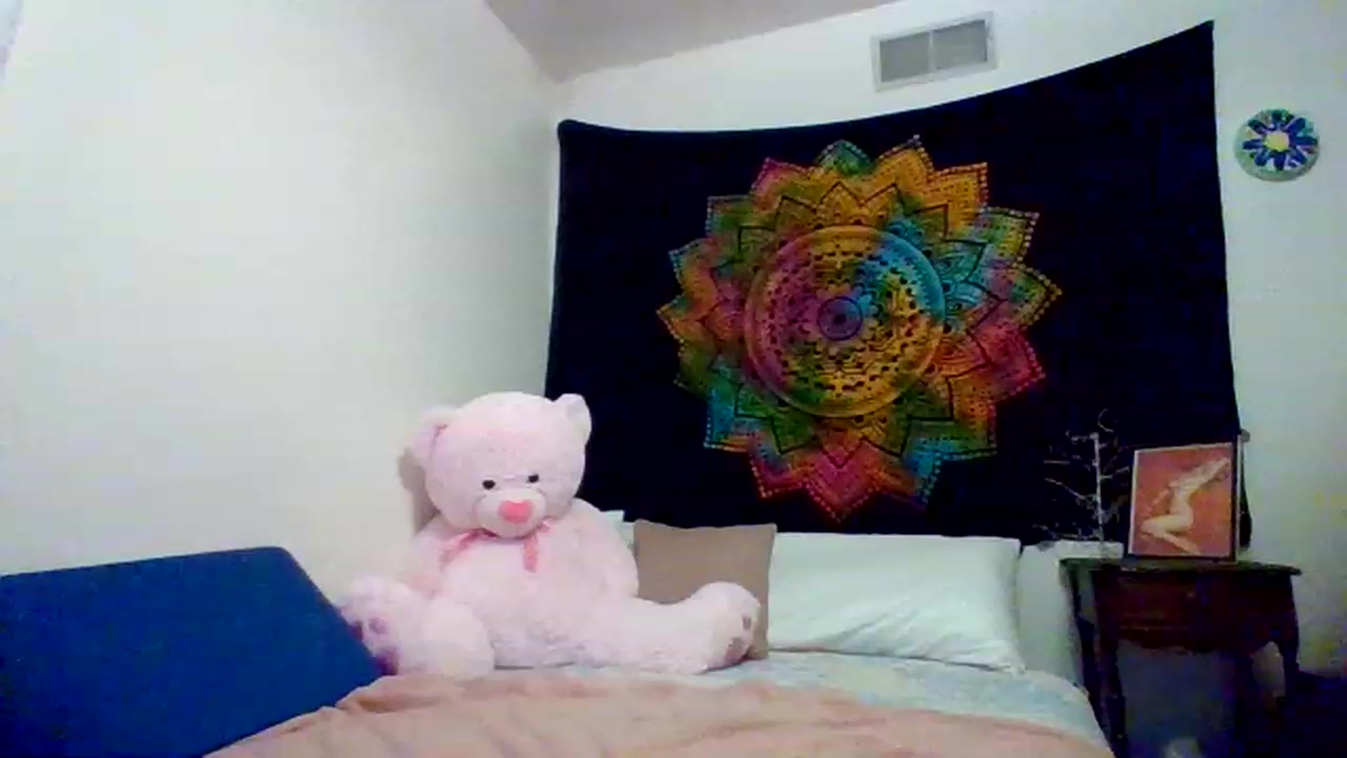 Gallery image thumbnail from wildnnout's myfreecams stream on, 05/16/2023, 15:50 image 16 of 20