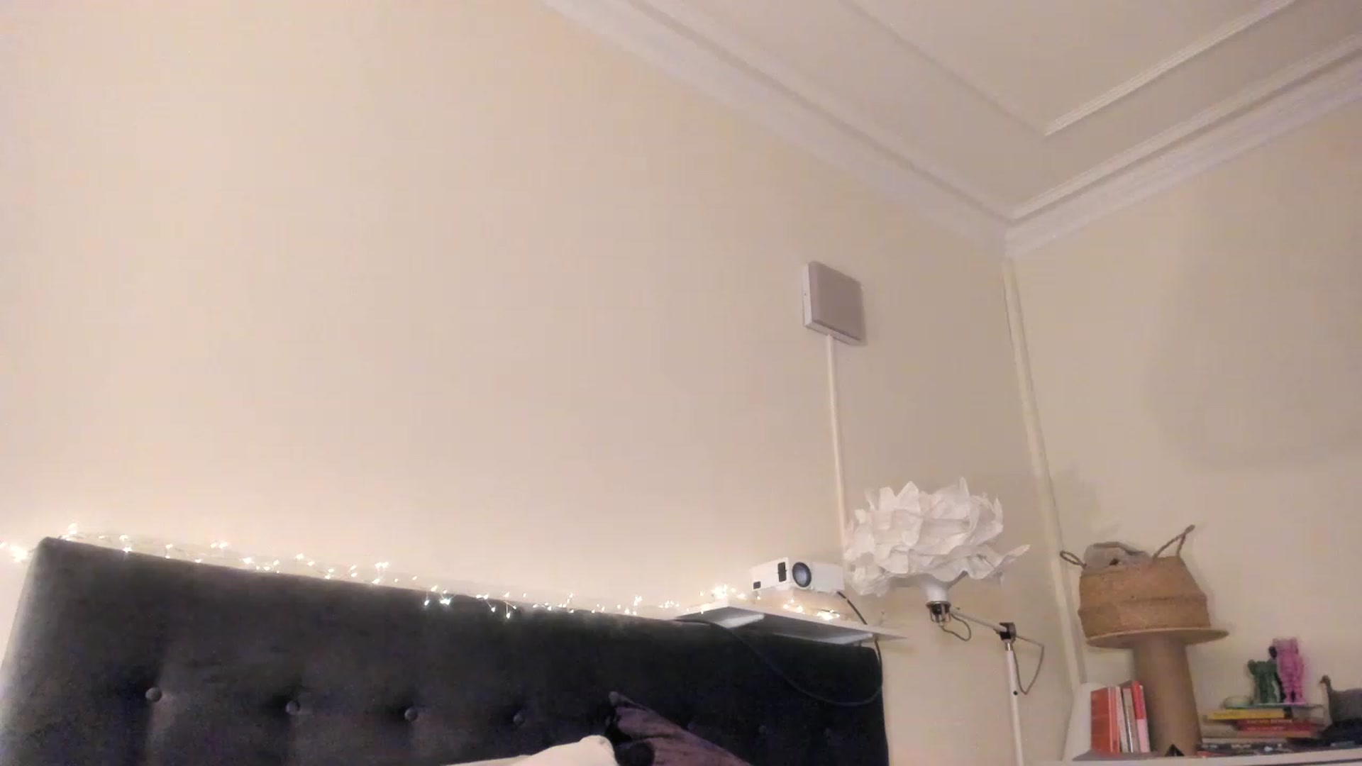 Gallery image thumbnail from wondertea's myfreecams stream on, 11/27/2022, 19:26 image 1 of 20