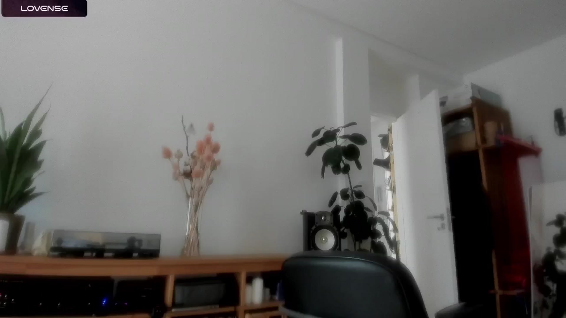 Gallery image thumbnail from wondertea's myfreecams stream on, 02/24/2025, 15:39 image 2 of 20