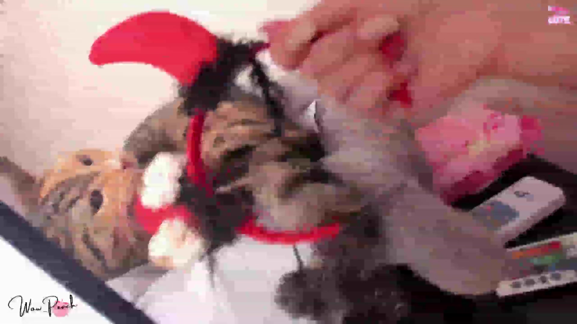 Gallery image thumbnail from wow_peach's myfreecams stream on, 10/22/2023, 16:31 image 3 of 20
