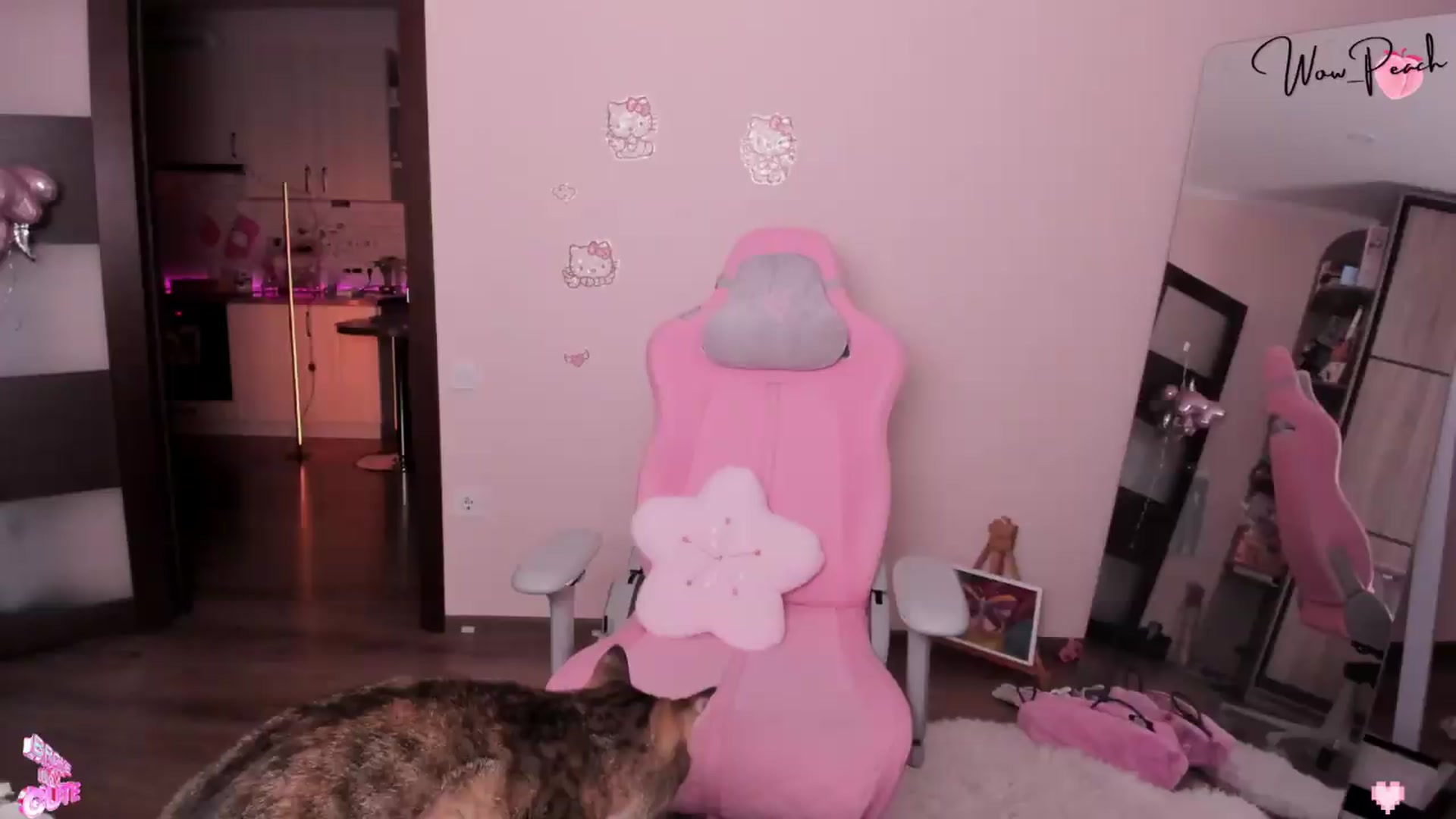 Gallery image thumbnail from wow_peach's myfreecams stream on, 09/05/2026, 17:38 image 18 of 20