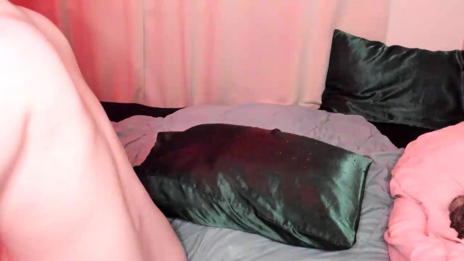 Gallery image thumbnail from wrong_room's myfreecams stream on, 09/12/2026, 24:24 image 5 of 20