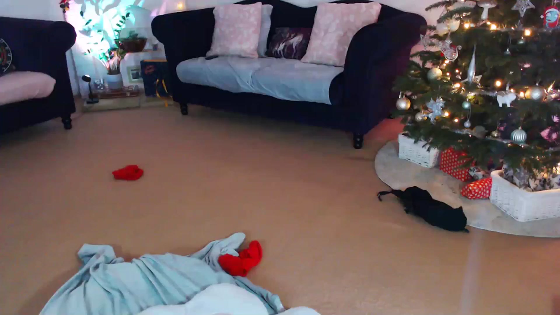 Gallery image thumbnail from xDaisyx's myfreecams stream on, 12/22/2023, 24:00 image 14 of 20