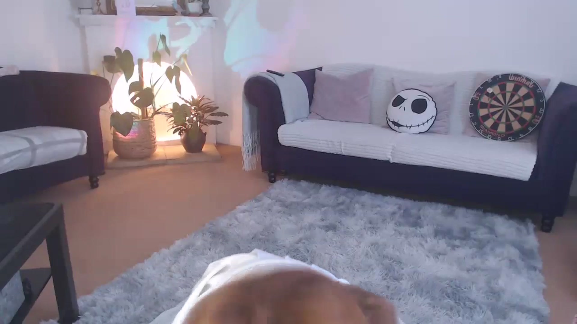 Gallery image thumbnail from xDaisyx's myfreecams stream on, 02/26/2024, 14:38 image 7 of 20