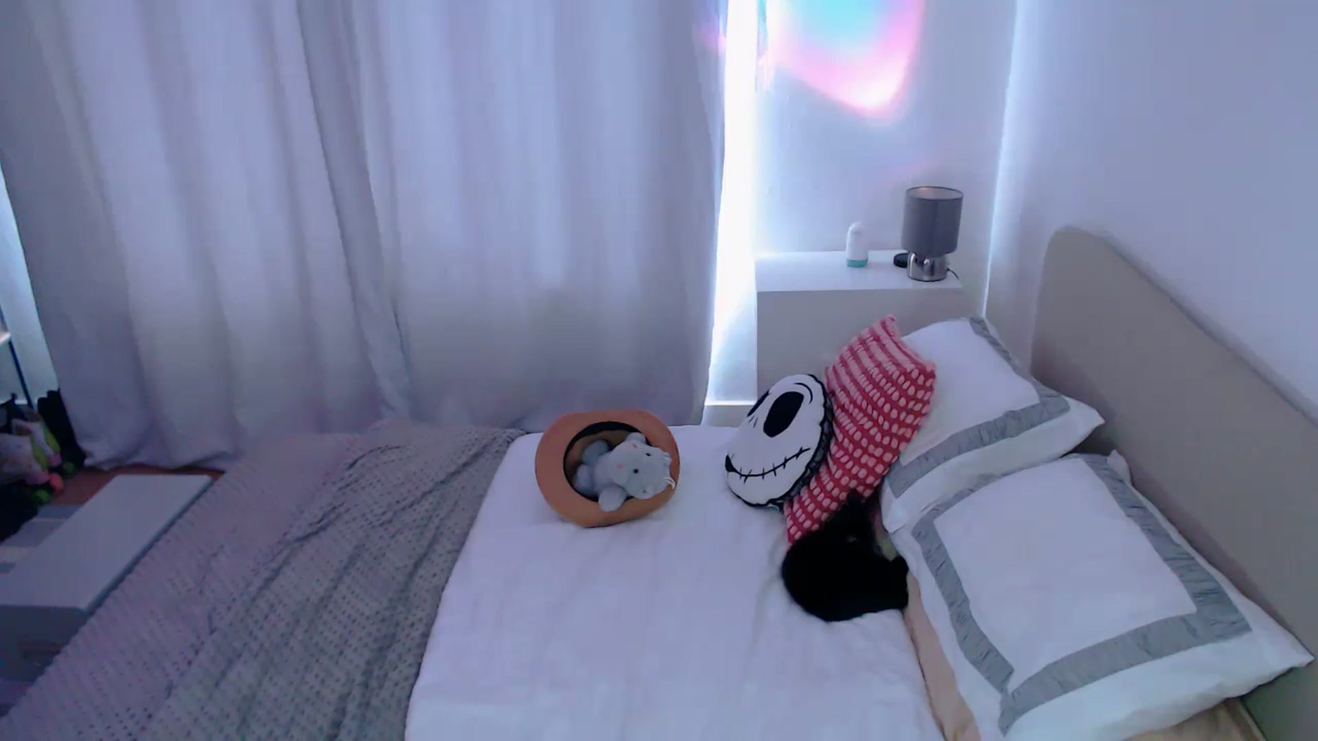 Gallery image thumbnail from xDaisyx's myfreecams stream on, 09/03/2024, 15:13 image 10 of 20