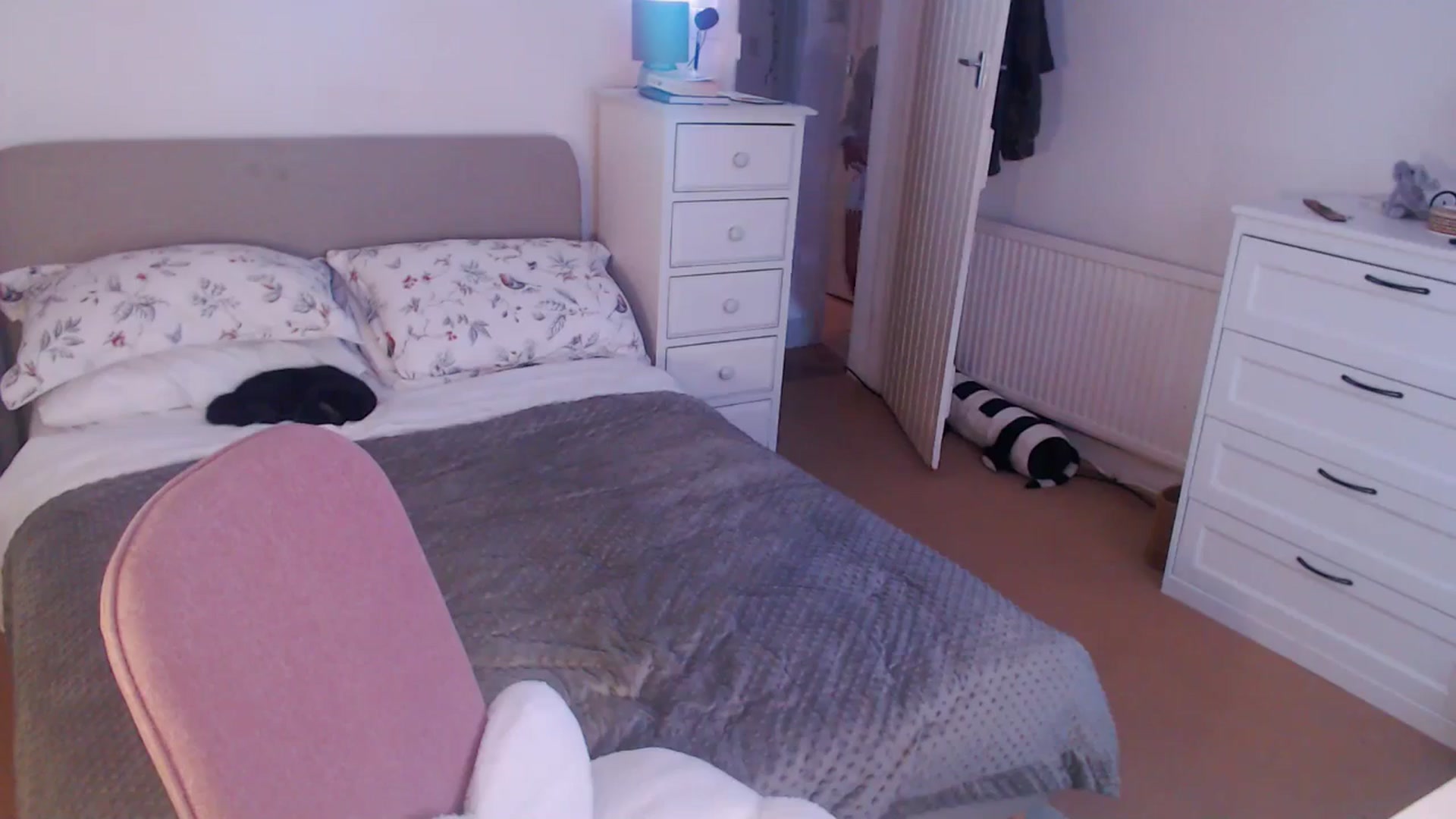 Gallery image thumbnail from xDaisyx's myfreecams stream on, 12/03/2024, 17:01 image 13 of 20