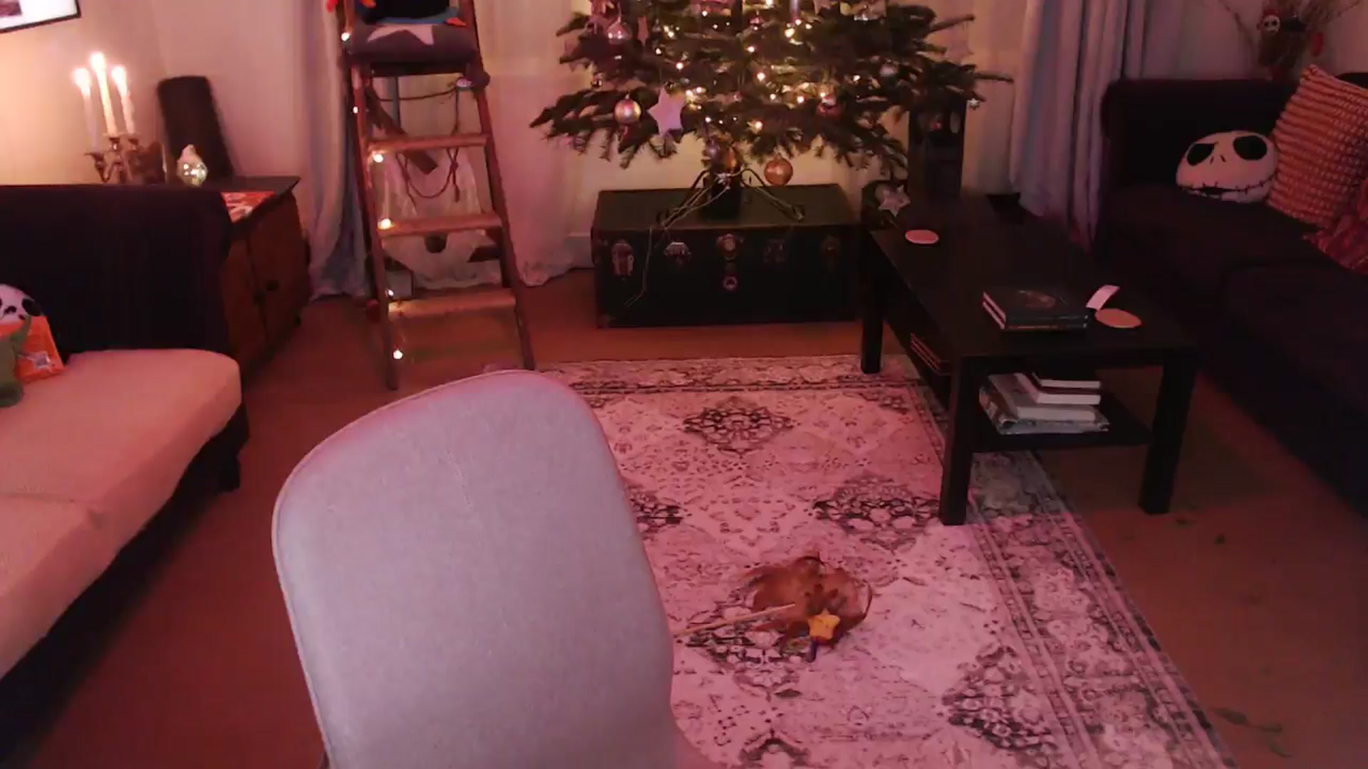 Gallery image thumbnail from xDaisyx's myfreecams stream on, 12/20/2024, 24:58 image 11 of 20