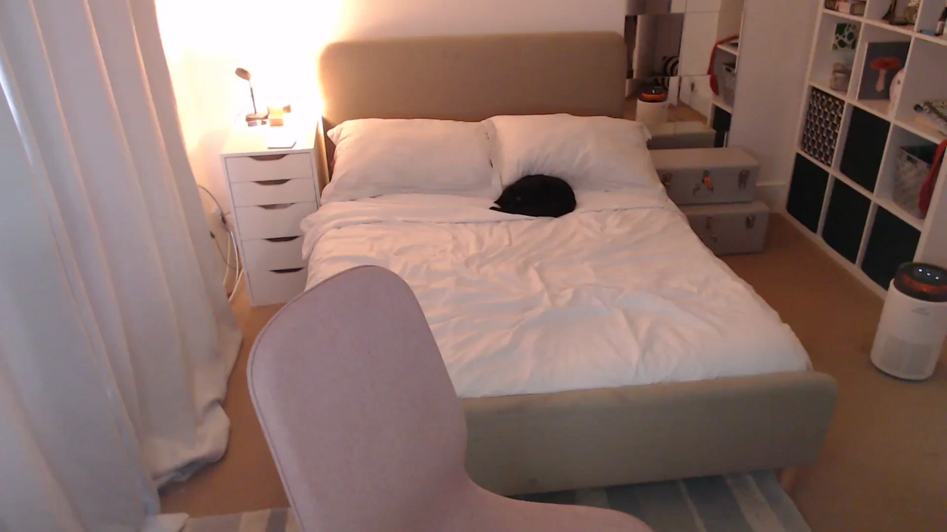 Gallery image thumbnail from xDaisyx's myfreecams stream on, 01/16/2025, 15:45 image 12 of 20