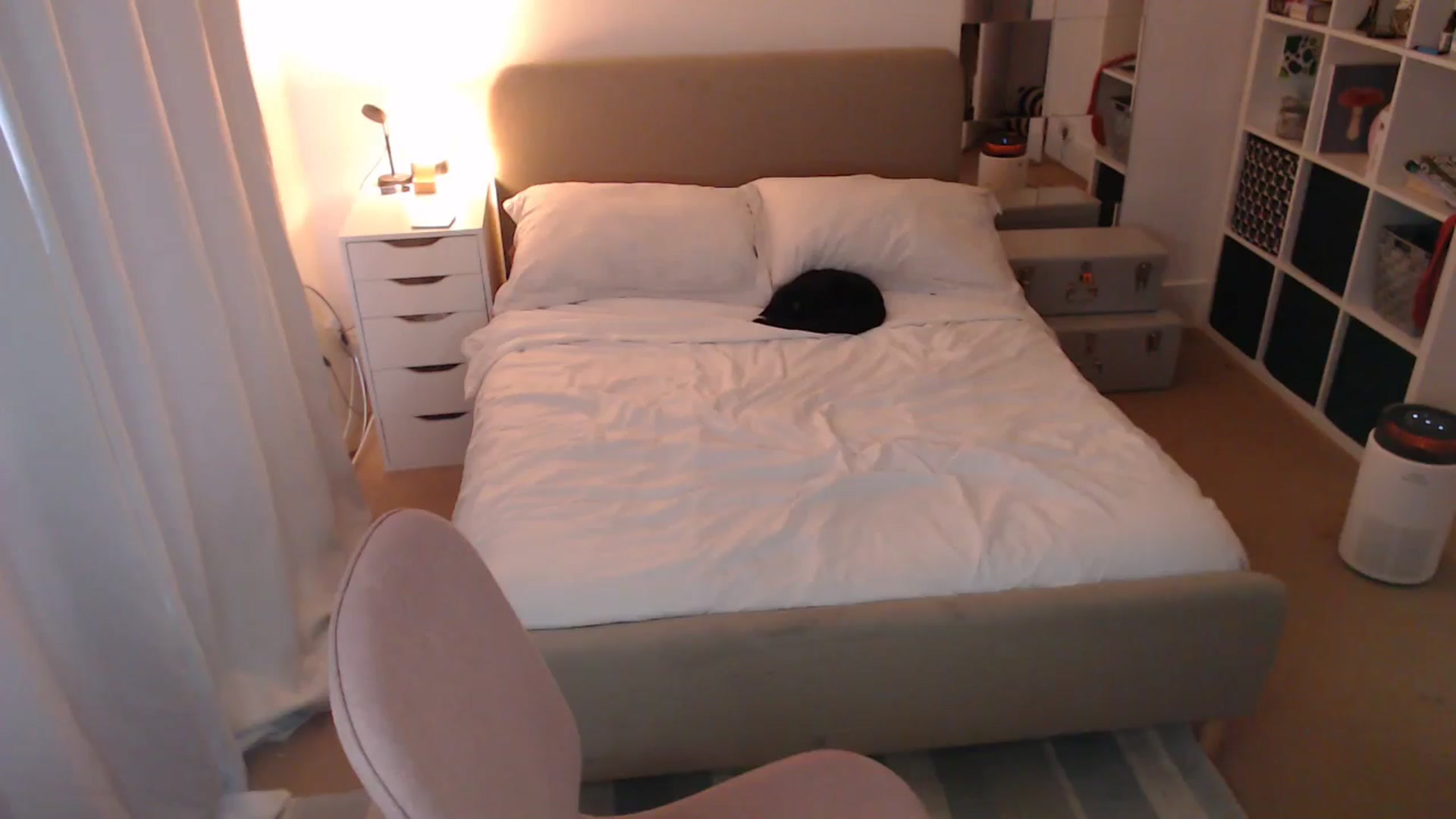 Gallery image thumbnail from xDaisyx's myfreecams stream on, 01/16/2025, 15:45 image 13 of 20
