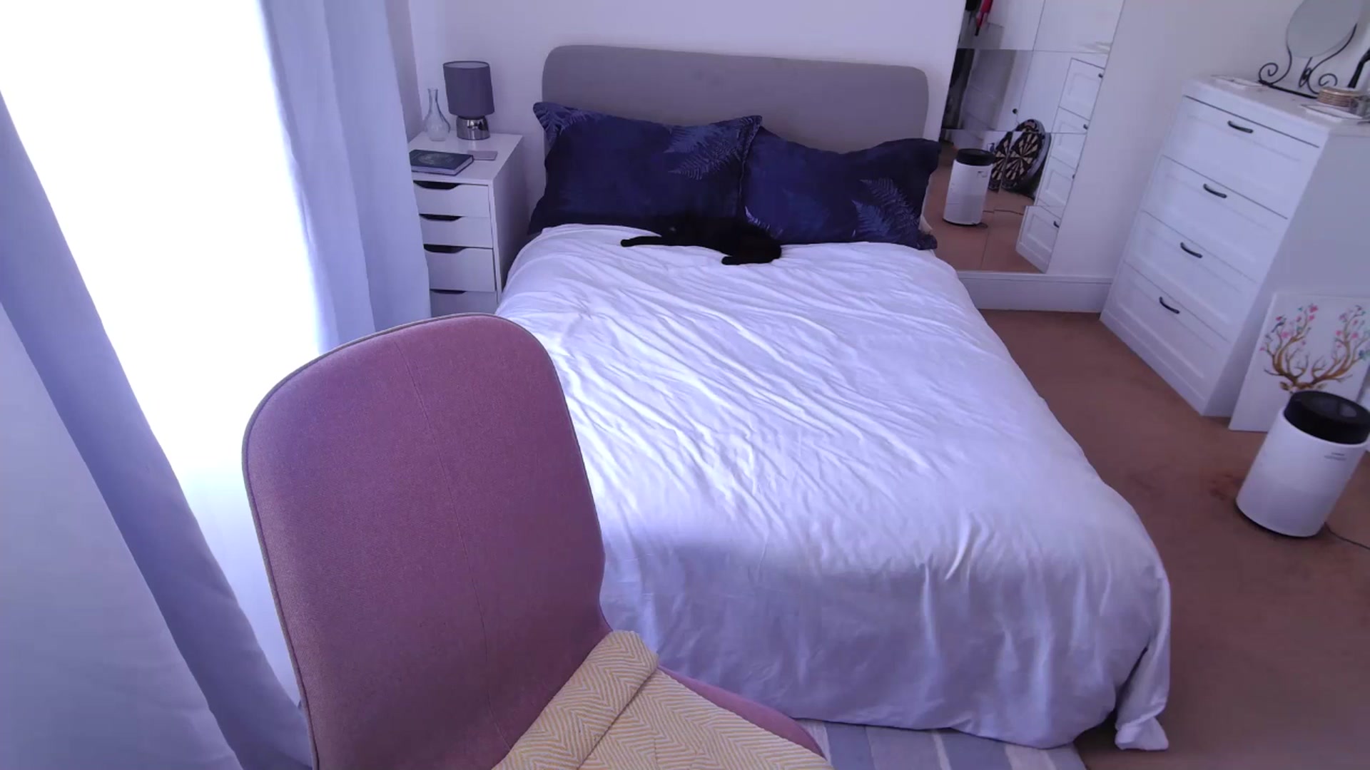 Gallery image thumbnail from xDaisyx's myfreecams stream on, 03/05/2025, 13:40 image 17 of 20