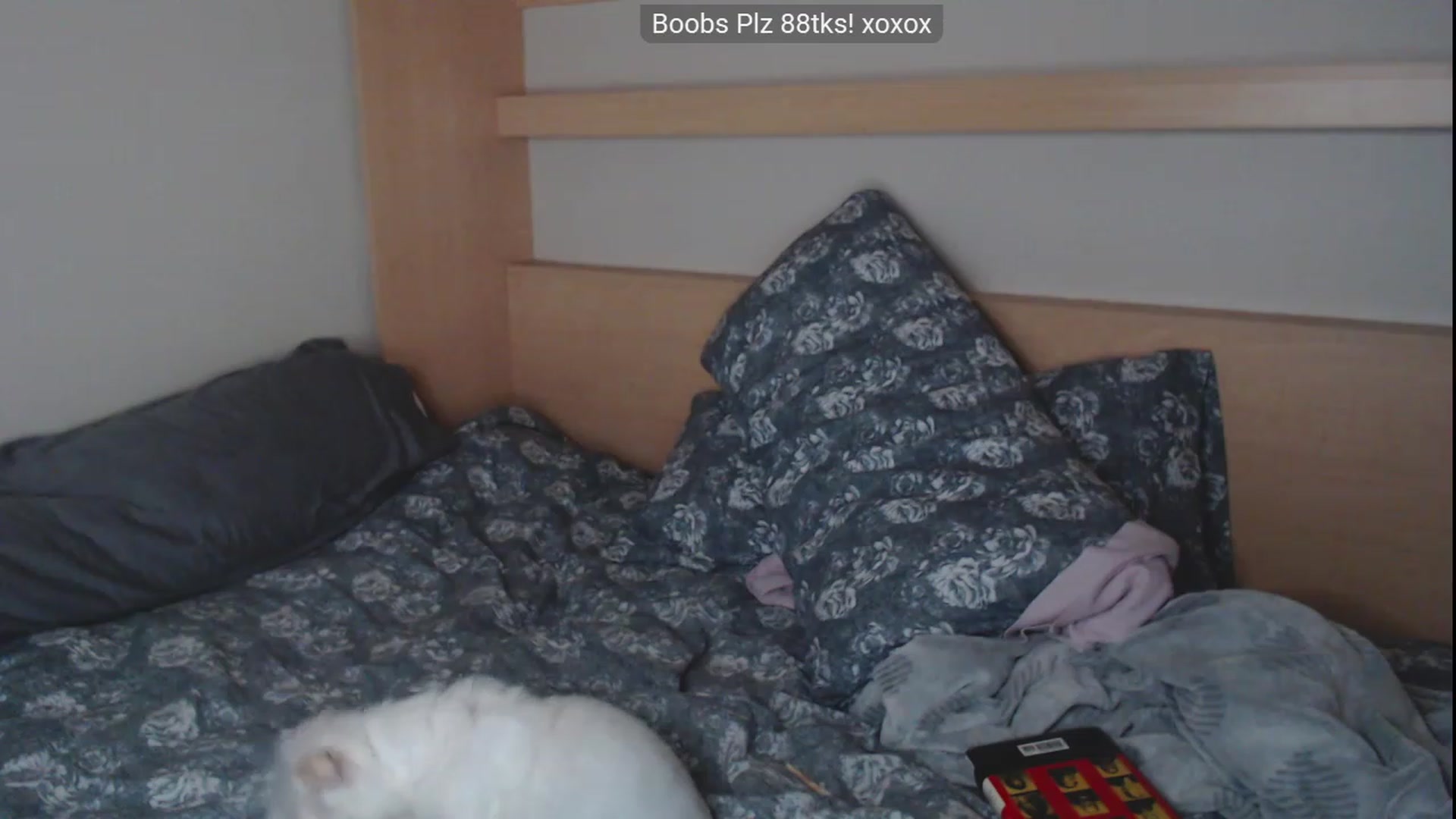 Gallery image thumbnail from xMissBliss's myfreecams stream on, 03/15/2023, 05:09 image 8 of 20