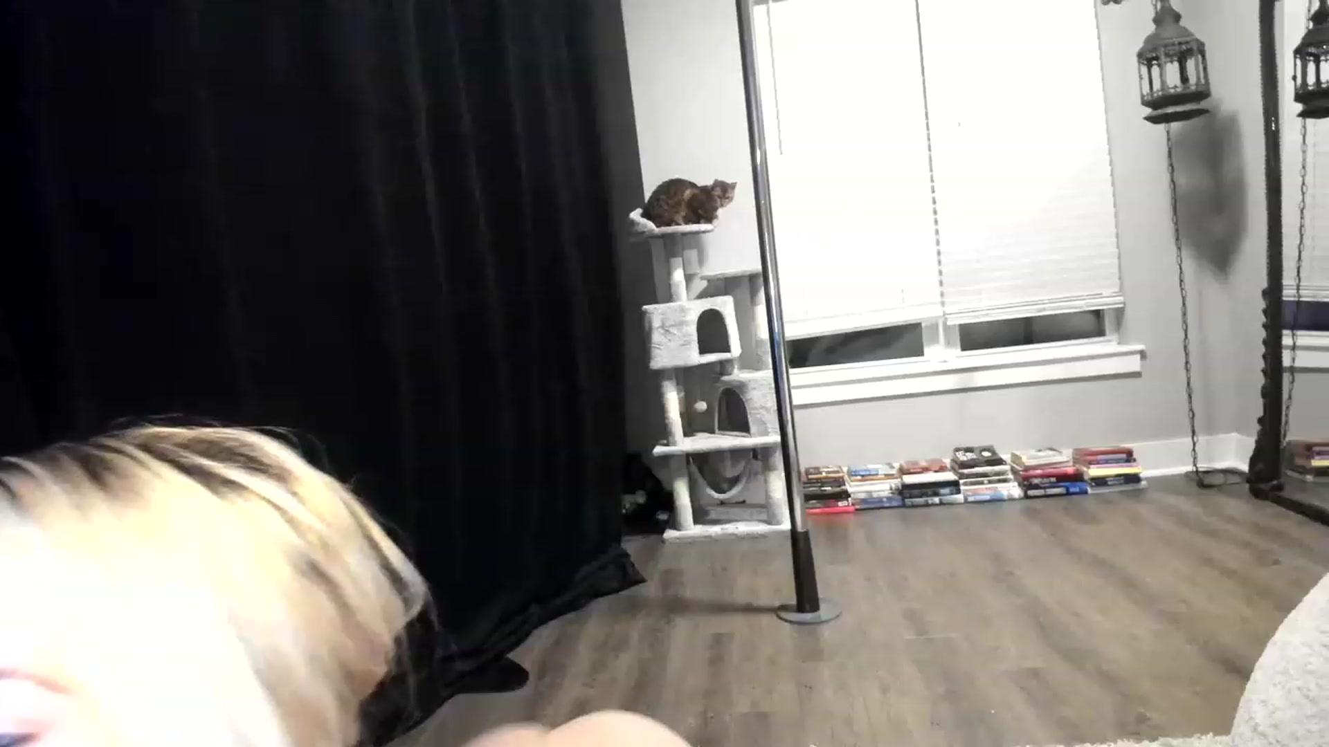Gallery image thumbnail from xRosePetalsx's myfreecams stream on, 03/03/2023, 08:35 image 18 of 20