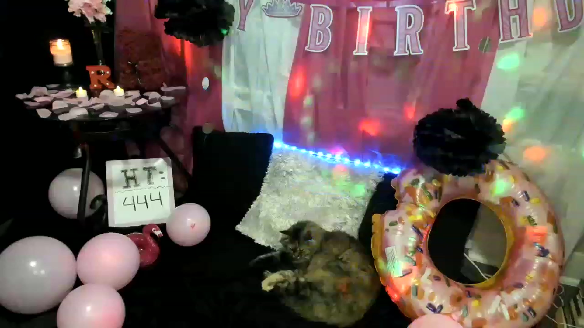 Gallery image thumbnail from xRosePetalsx's myfreecams stream on, 03/08/2023, 06:54 image 2 of 20