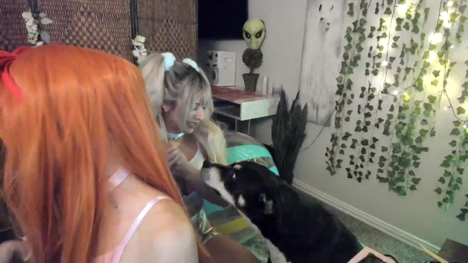 Gallery image thumbnail from xRosePetalsx's myfreecams stream on, 11/06/2023, 07:08 image 12 of 20