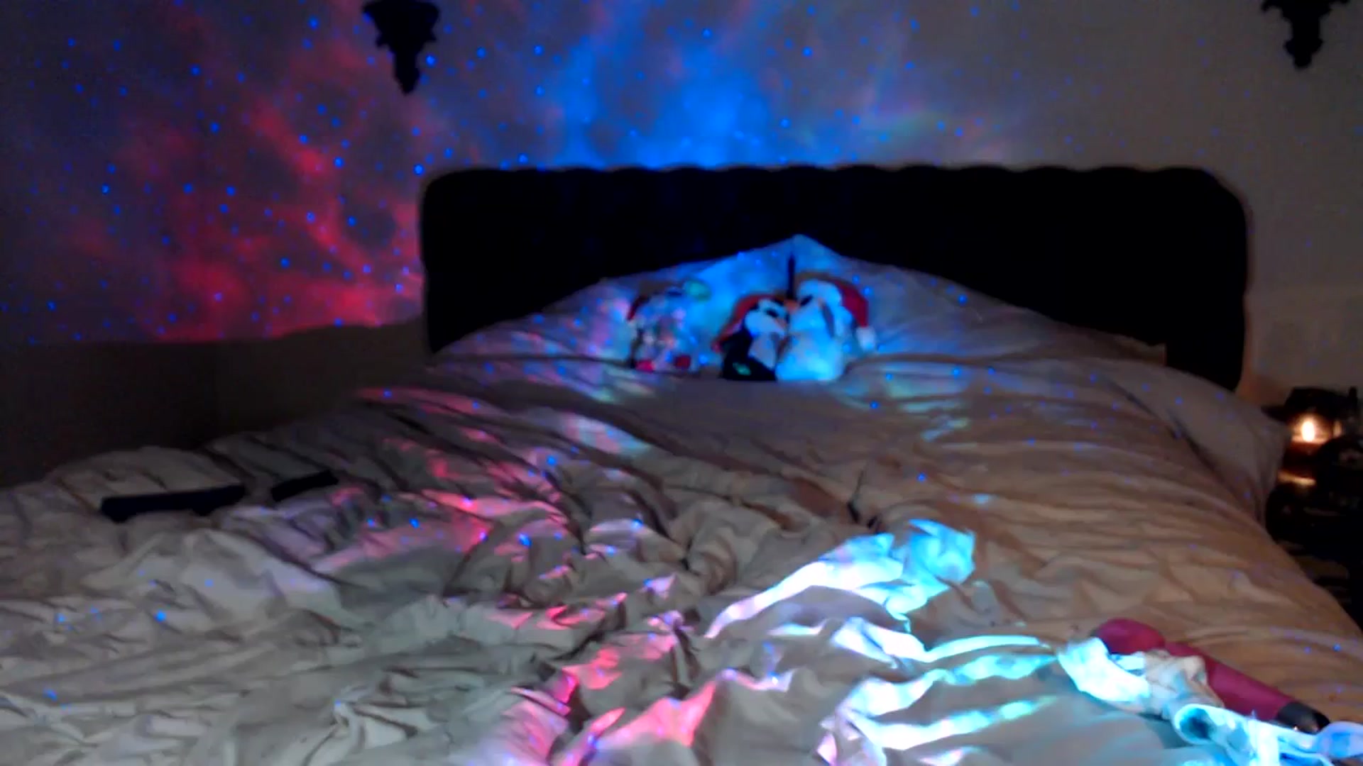 Gallery image thumbnail from xRosePetalsx's myfreecams stream on, 12/19/2023, 10:19 image 12 of 20