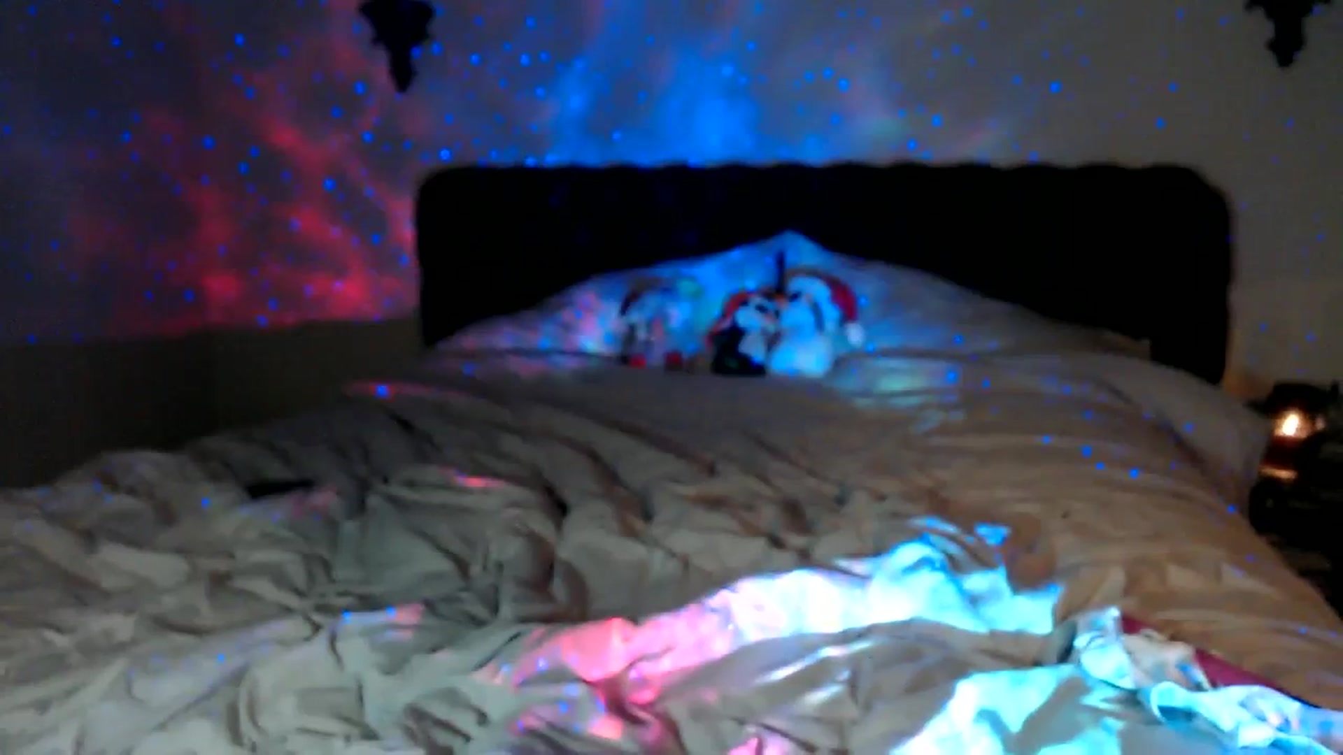 Gallery image thumbnail from xRosePetalsx's myfreecams stream on, 12/19/2023, 10:19 image 14 of 20