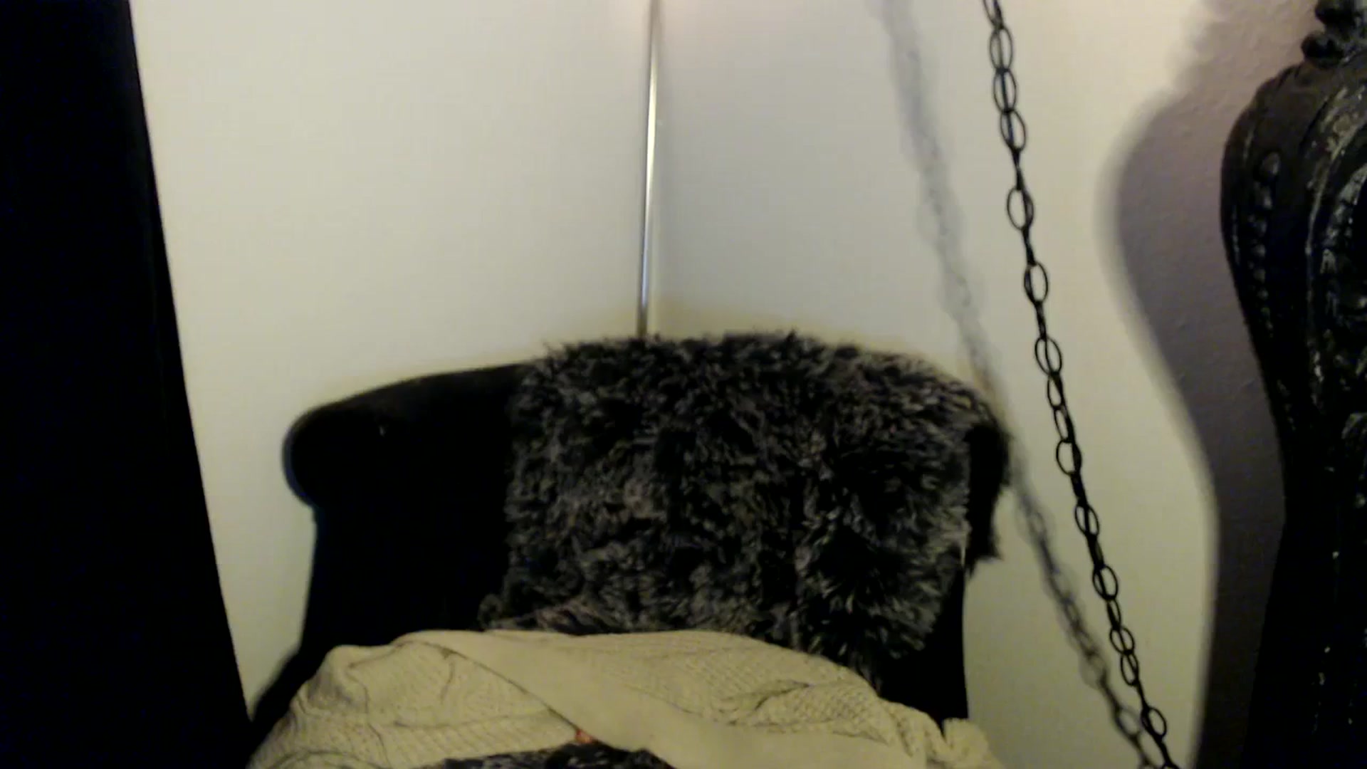 Gallery image thumbnail from xRosePetalsx's myfreecams stream on, 12/31/2023, 07:48 image 1 of 20