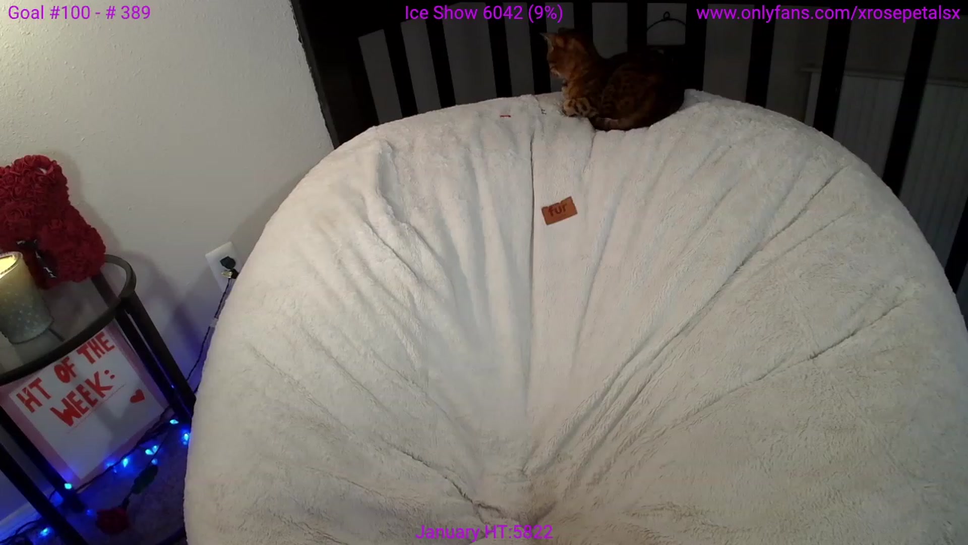 Gallery image thumbnail from xRosePetalsx's myfreecams stream on, 01/18/2024, 05:48 image 20 of 20
