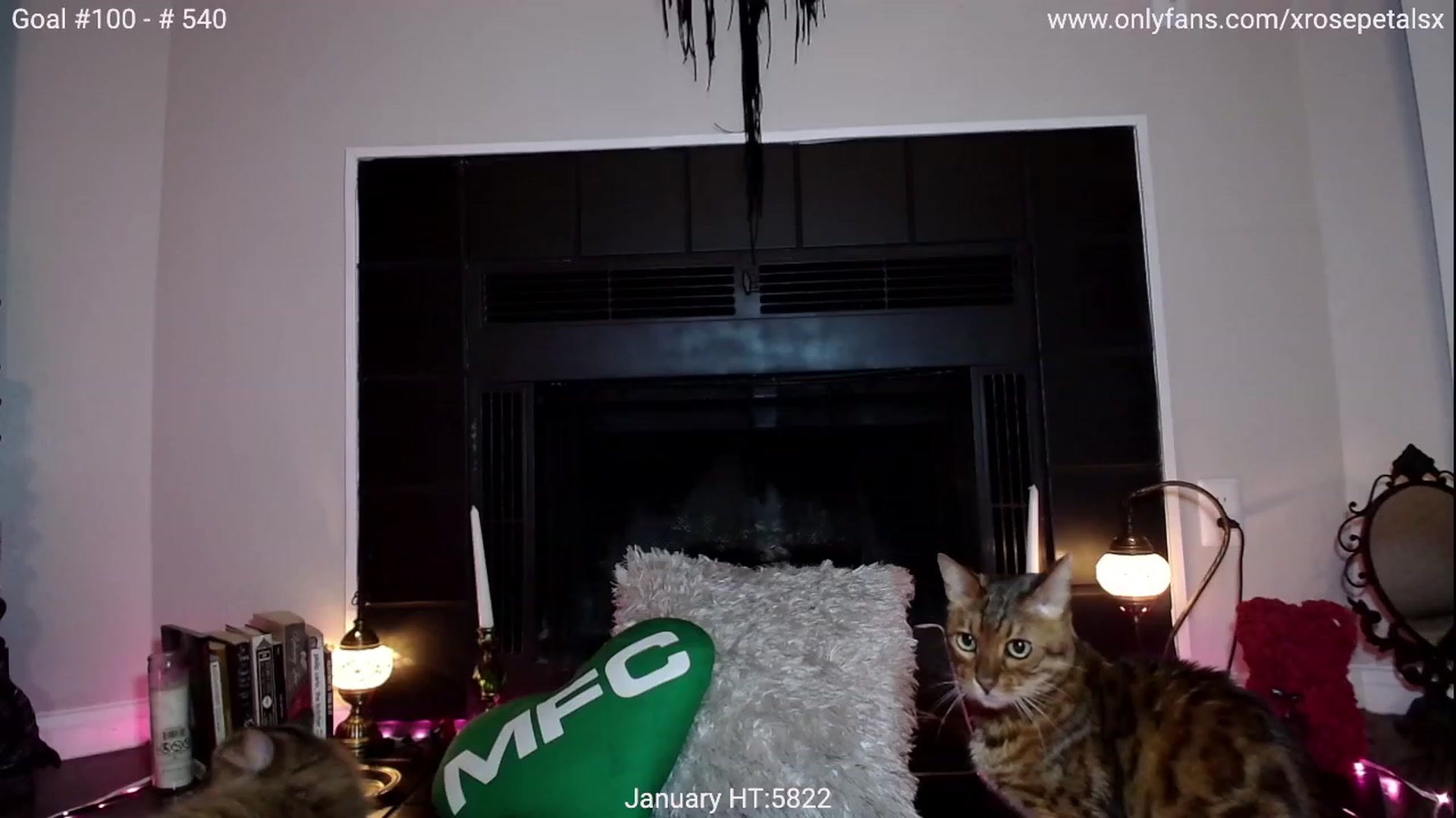 Gallery image thumbnail from xRosePetalsx's myfreecams stream on, 02/03/2024, 09:11 image 9 of 20