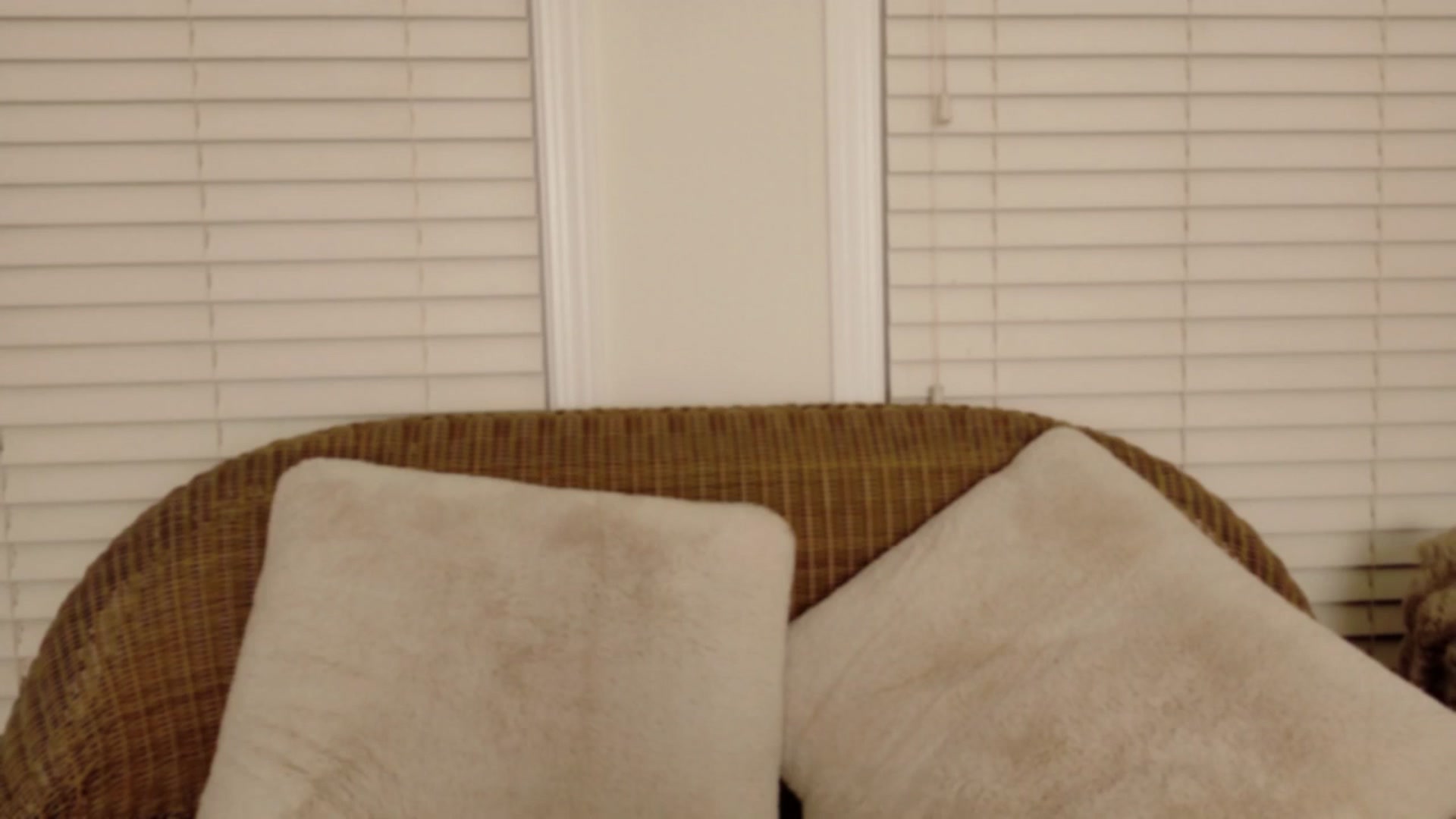 Gallery image thumbnail from xSadiexBlairx's myfreecams stream on, 08/11/2025, 03:15 image 5 of 20