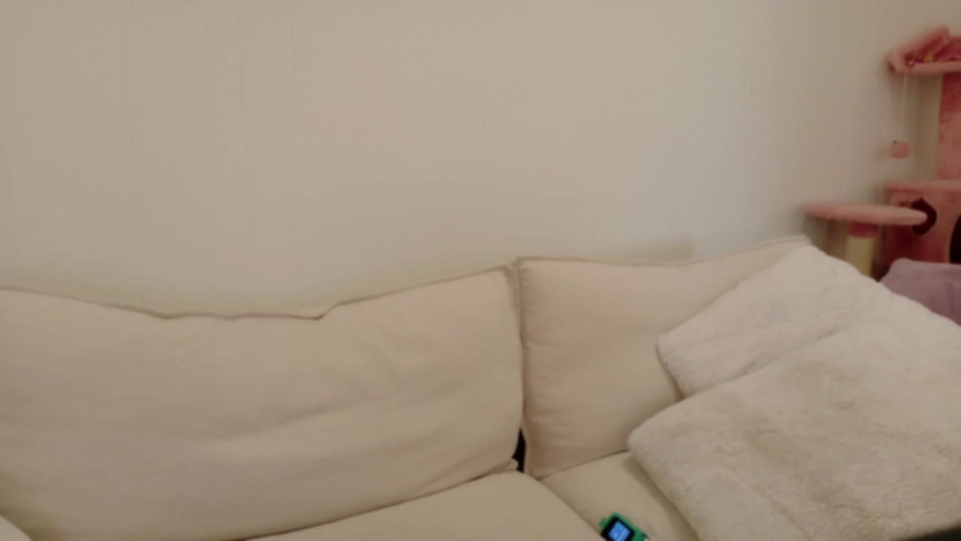Gallery image thumbnail from xSadiexBlairx's myfreecams stream on, 08/26/2025, 18:38 image 7 of 20