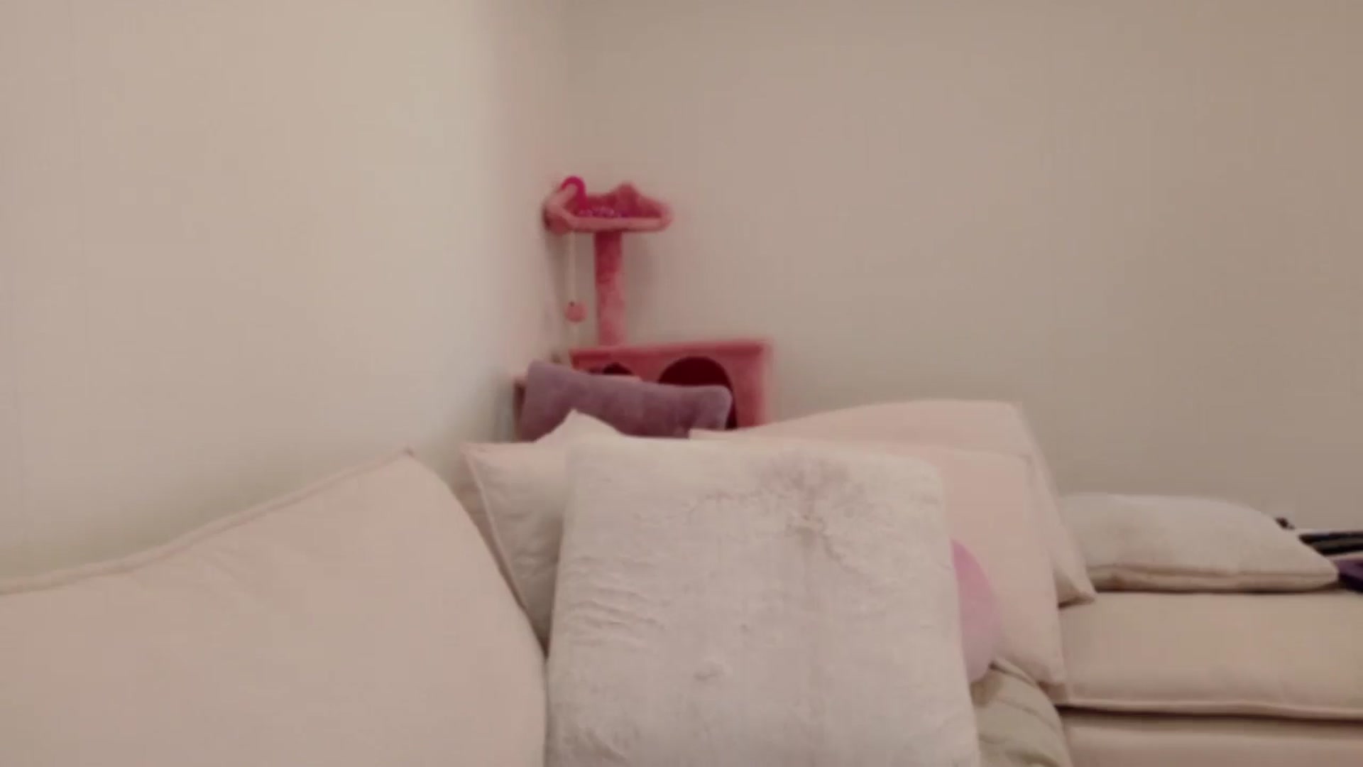 Gallery image thumbnail from xSadiexBlairx's myfreecams stream on, 09/08/2025, 19:18 image 18 of 20