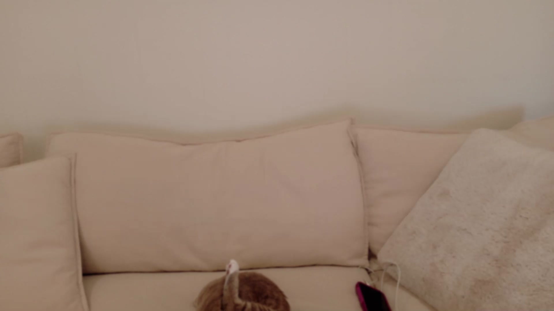 Gallery image thumbnail from xSadiexBlairx's myfreecams stream on, 09/12/2025, 20:21 image 20 of 20