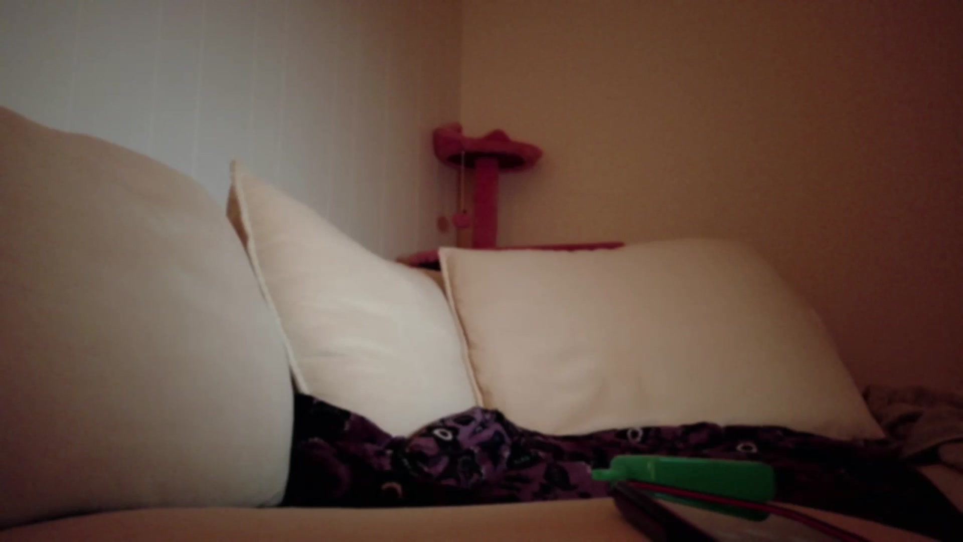 Gallery image thumbnail from xSadiexBlairx's myfreecams stream on, 10/20/2025, 03:13 image 16 of 20