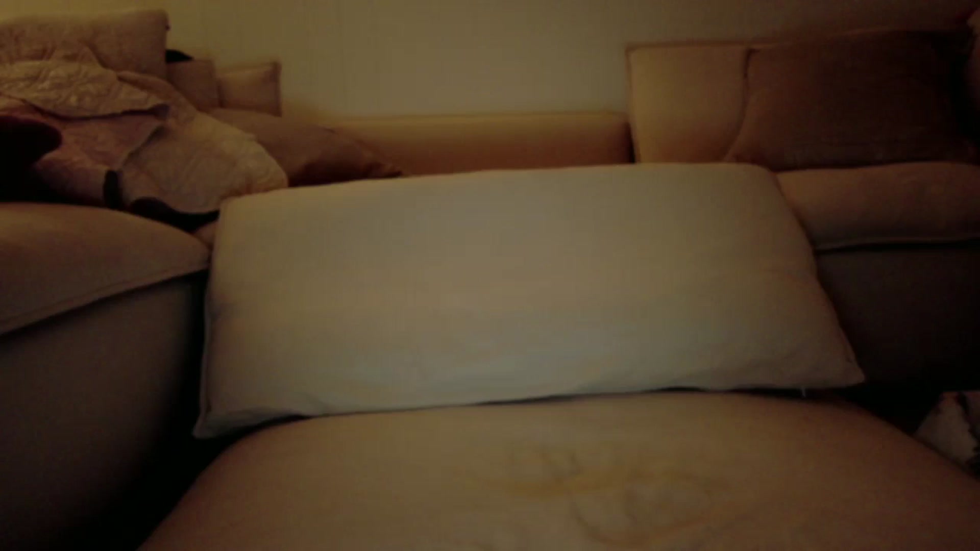 Gallery image thumbnail from xSadiexBlairx's myfreecams stream on, 11/14/2025, 03:23 image 4 of 20