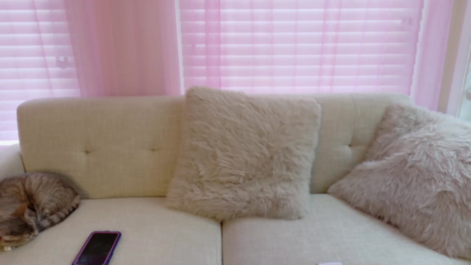 Gallery image thumbnail from xSadiexBlairx's myfreecams stream on, 01/23/2026, 20:25 image 8 of 20