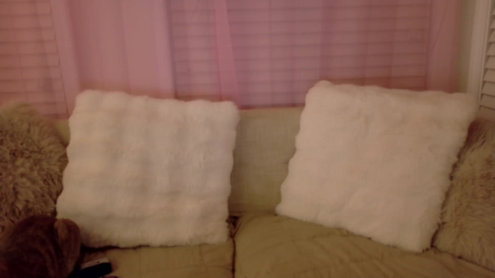 Gallery image thumbnail from xSadiexBlairx's myfreecams stream on, 03/20/2026, 02:22 image 5 of 20