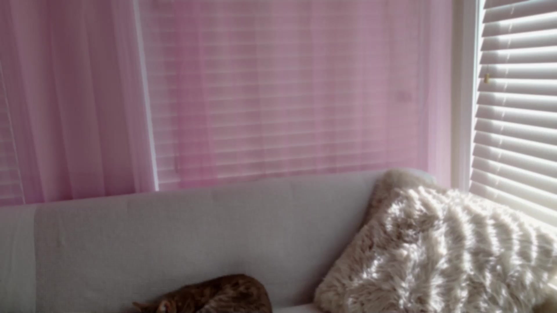 Gallery image thumbnail from xSadiexBlairx's myfreecams stream on, 04/22/2026, 20:13 image 20 of 20