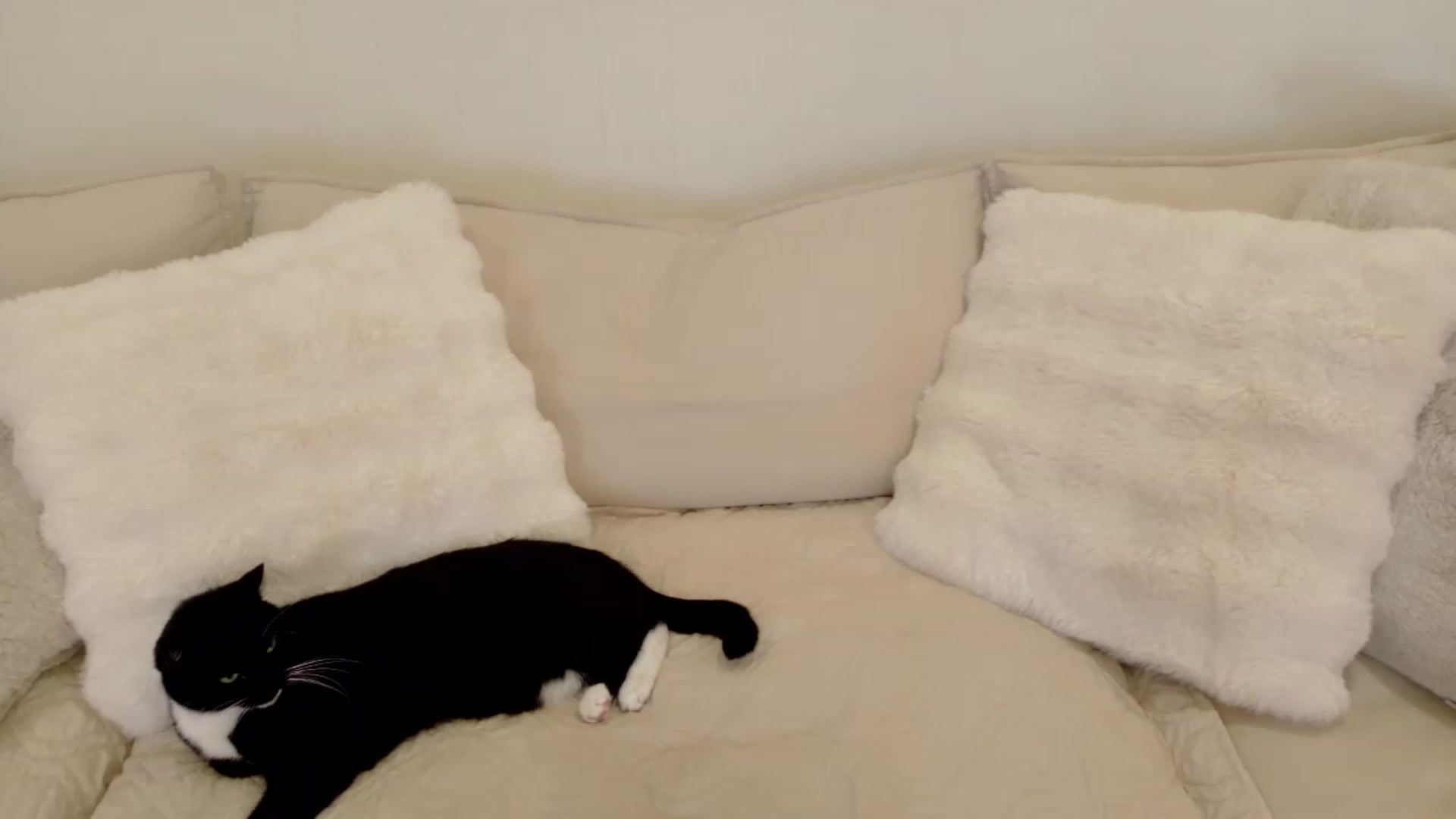 Gallery image thumbnail from xSadiexBlairx's myfreecams stream on, 05/15/2026, 20:00 image 8 of 20