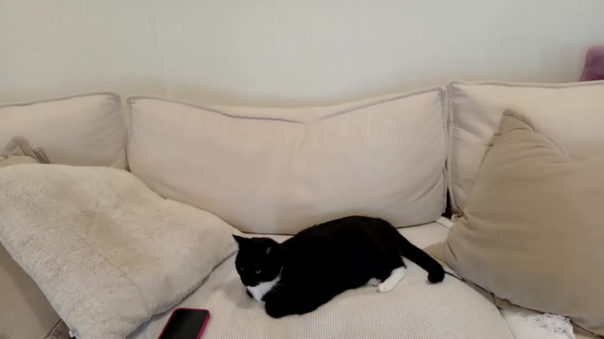 Gallery image thumbnail from xSadiexBlairx's myfreecams stream on, 05/18/2026, 18:59 image 20 of 20