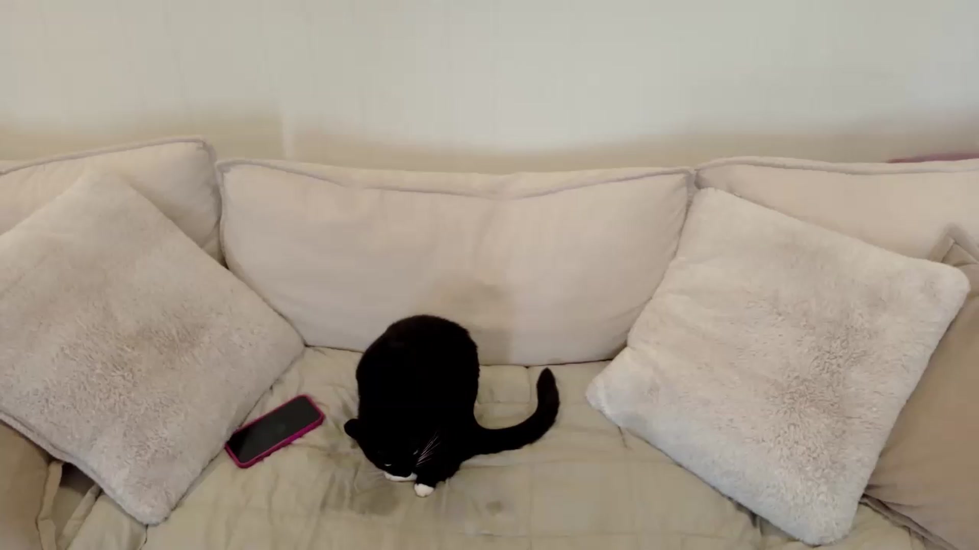 Gallery image thumbnail from xSadiexBlairx's myfreecams stream on, 05/26/2026, 19:33 image 11 of 20