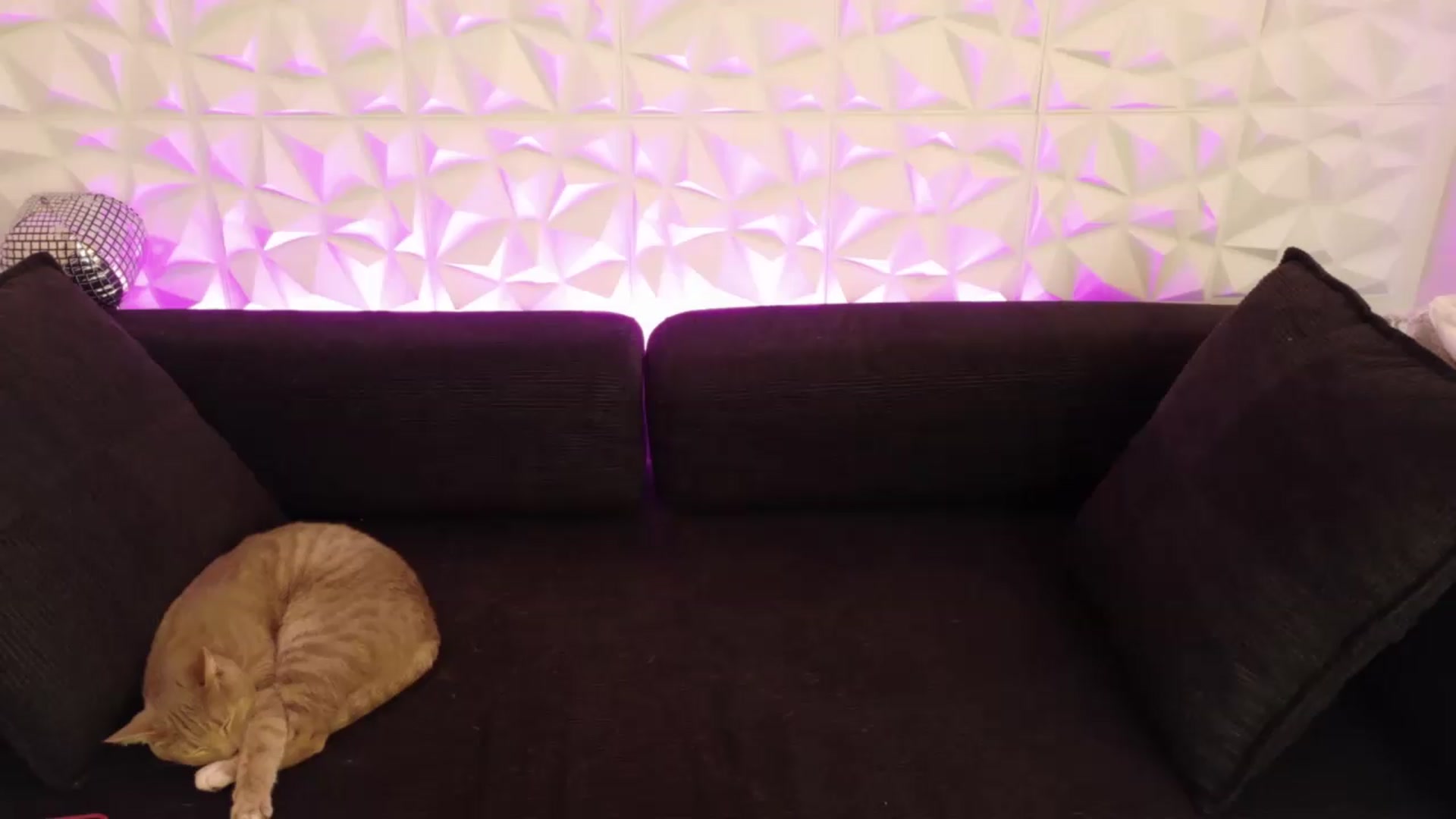 Gallery image thumbnail from xSadiexBlairx's myfreecams stream on, 05/29/2026, 18:06 image 4 of 20