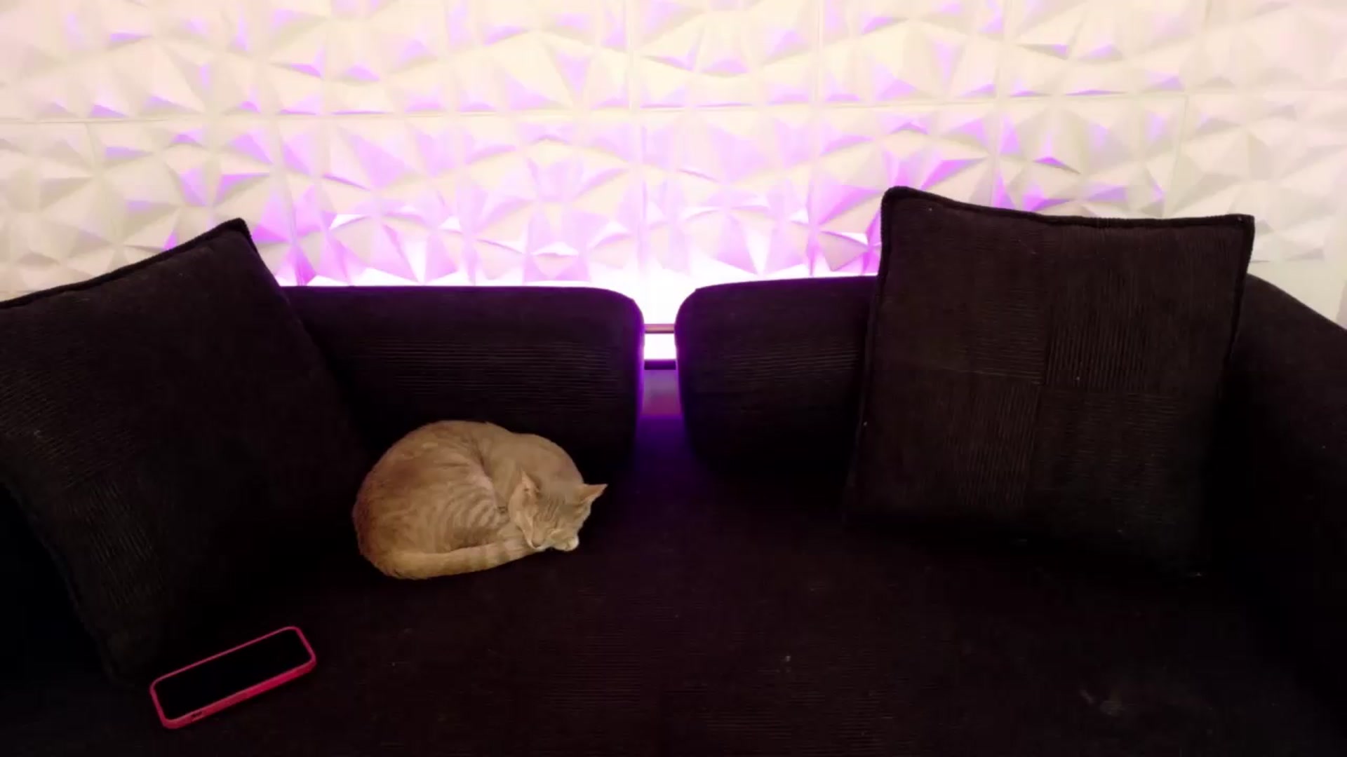 Gallery image thumbnail from xSadiexBlairx's myfreecams stream on, 06/04/2026, 18:47 image 17 of 20