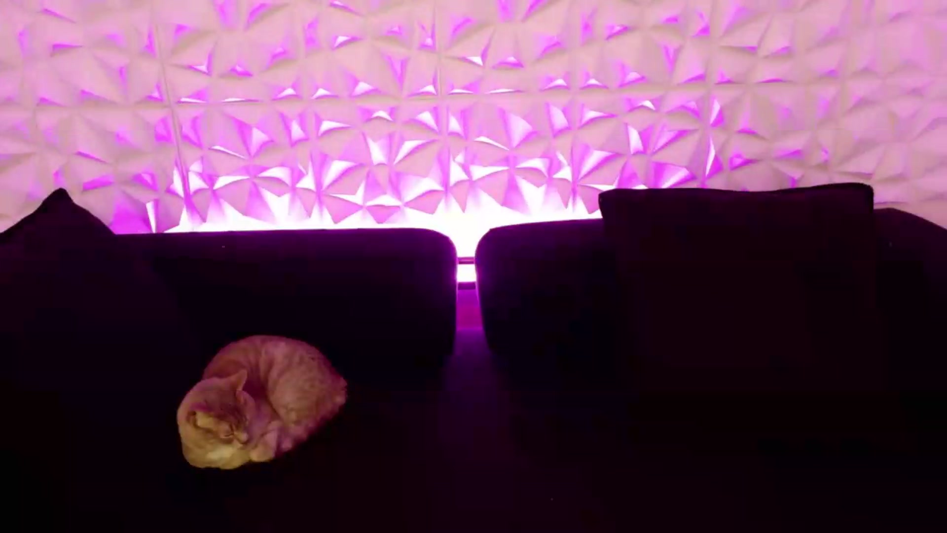 Gallery image thumbnail from xSadiexBlairx's myfreecams stream on, 06/09/2026, 18:55 image 10 of 20